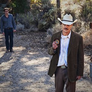 Bilder Nocturnal Animals