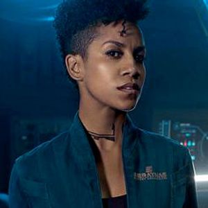 Bilder Dominique Tipper