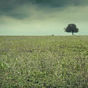 Bilder Kırıntılar