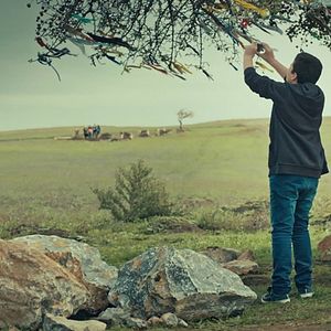 Bilder Kırıntılar