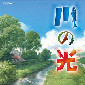 Bilder Light of the River