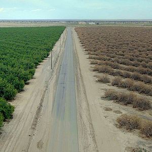 Bilder Kalifornien: Wasser und Macht