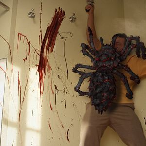 Bilder 2 Lava 2 Lantula!