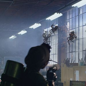 Bilder 2 Lava 2 Lantula!