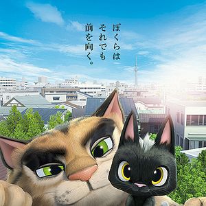 Bilder Rudolf, der schwarze Kater