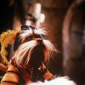 Bilder Die Reise ins Labyrinth