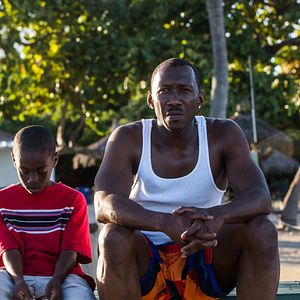 Bilder Alex R. Hibbert