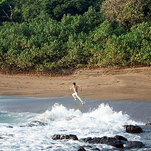 Bilder I Dream In Another Language