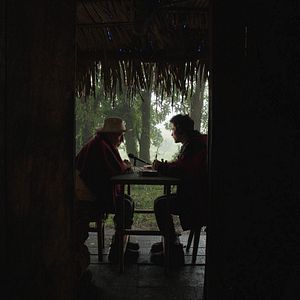 Bilder I Dream In Another Language