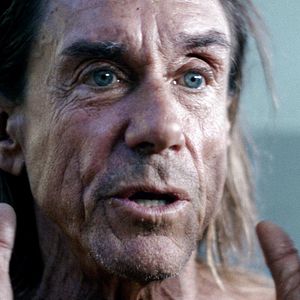Bilder Iggy Pop