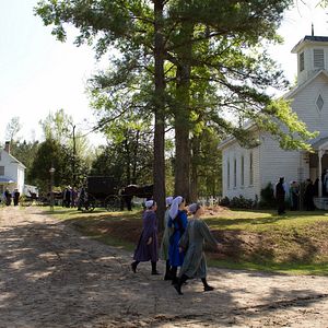 Bilder The Devil's Hand