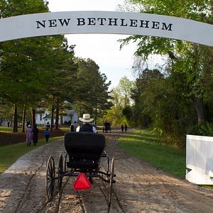 Bilder The Devil's Hand