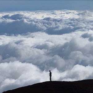 Bilder Legion of Brothers