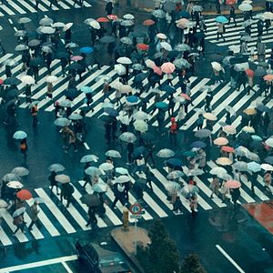 Bilder Frágil equilibrio