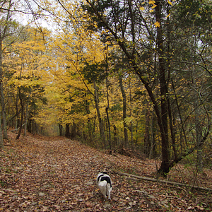 Bilder Look and See: A Portrait of Wendell Berry