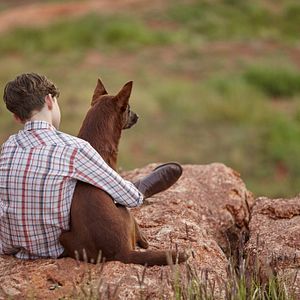 Bilder Red Dog - Mein treuer Freund