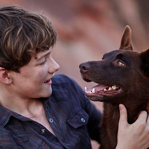 Bilder Red Dog - Mein treuer Freund