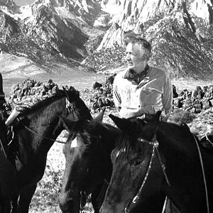 Bilder Den Hals in der Schlinge