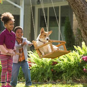 Bilder Bailey - Ein Freund fürs Leben