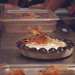 Bilder Ants on a Shrimp