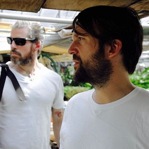 Bilder Ants on a Shrimp