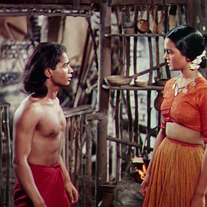 Bilder Das Dschungelbuch