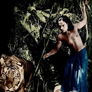 Bilder Das Dschungelbuch