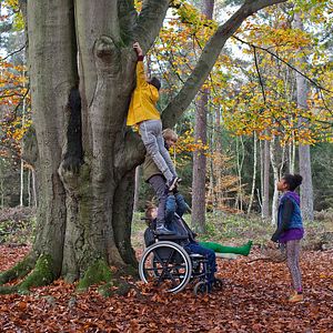 Bilder Matheu Hinzen