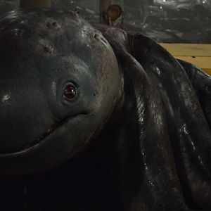 Bilder Monster Trucks