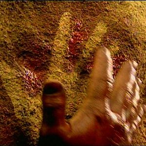 Bilder Altamira: Desde siempre para siempre