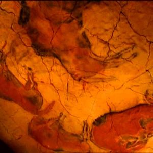 Bilder Altamira: Desde siempre para siempre