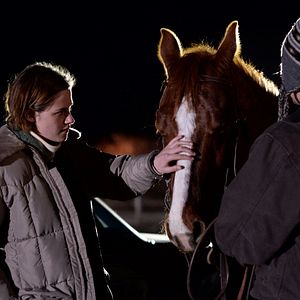 Bilder Certain Women