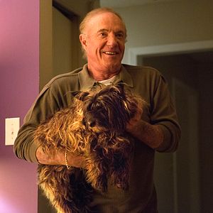 Bilder Babyalarm - Kleine Lüge, großer Bauch