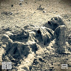 Bilder The Walking Dead