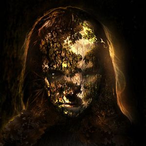 Bilder The Hollow Child