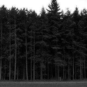 Bilder The Eyes Of My Mother