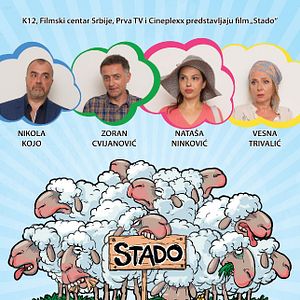 Bilder Stado - Die Herde