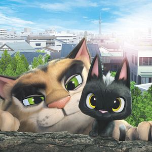 Bilder Rudolf, der schwarze Kater