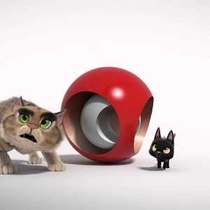 Bilder Rudolf, der schwarze Kater