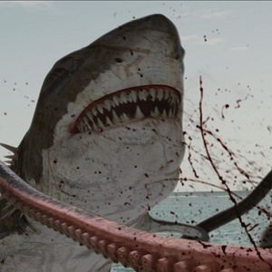 Bilder Sharktopus Vs. Whalewolf