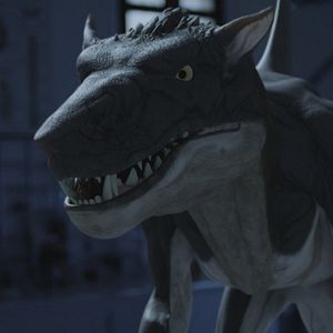 Bilder Sharktopus Vs. Whalewolf