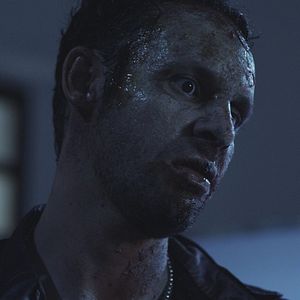 Bilder Sharktopus Vs. Whalewolf