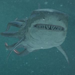 Bilder Sharktopus Vs. Whalewolf