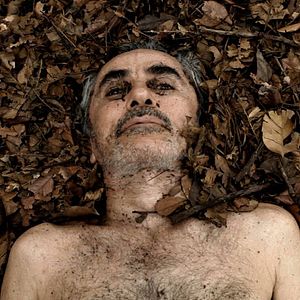 Bilder Lamparina da Aurora