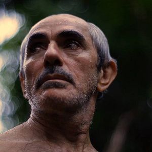 Bilder Lamparina da Aurora