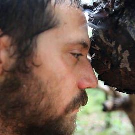 Bilder Lamparina da Aurora