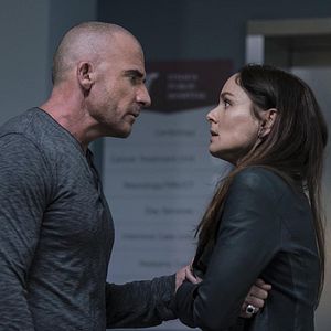 Bilder Dominic Purcell