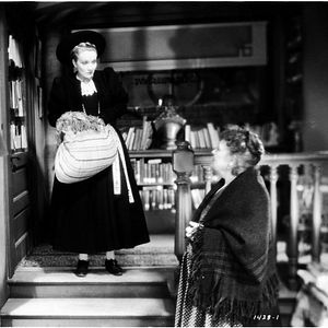 Bilder Das hohe Lied