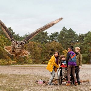 Bilder Matheu Hinzen