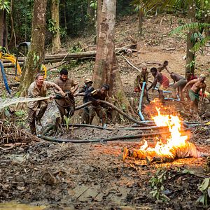 Bilder Gier - Rausch des Goldes